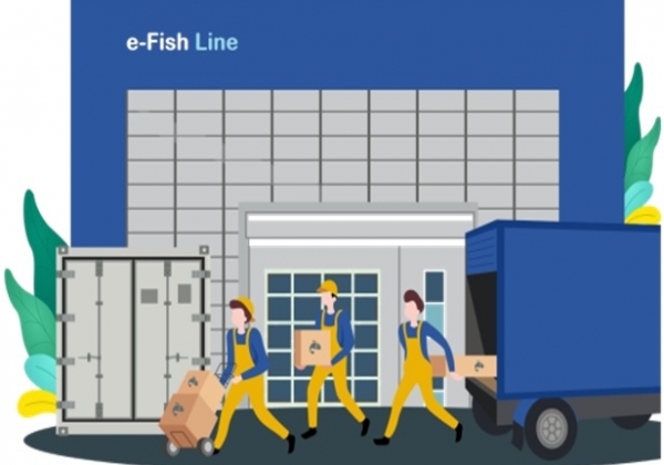 eFISHLINE,Theprojects